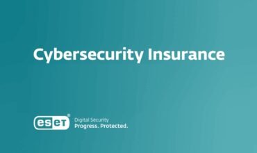 How Does Cyber Insurance Help Businesses?